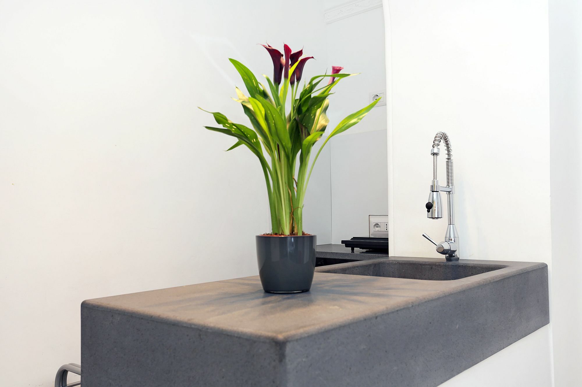 Houspitality Nero Couette-café 2*